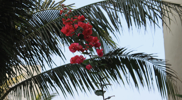 1552099664706633.jpg IMG_3177.jpg