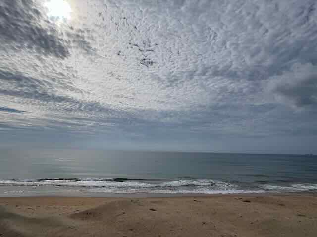 1652620012287904.jpeg IMG_1390.jpeg